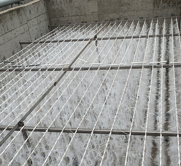 養殖循環水處理係統