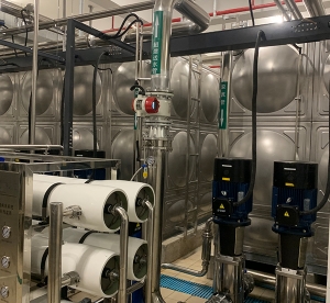 福州反滲透草莓视频污免费